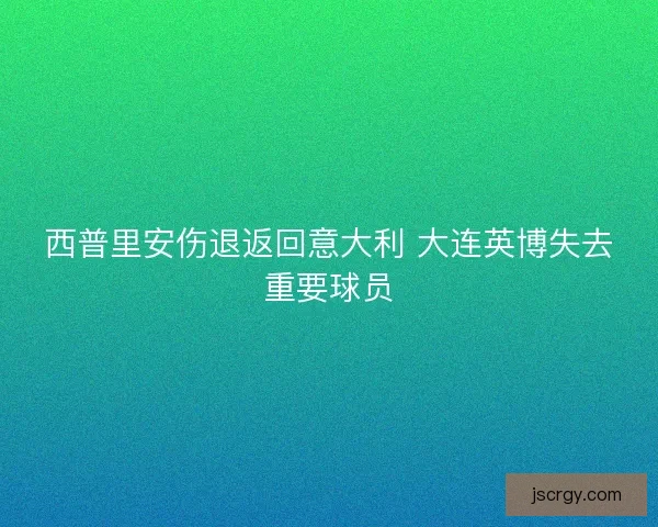西普里安伤退返回意大利 大连英博失去重要球员